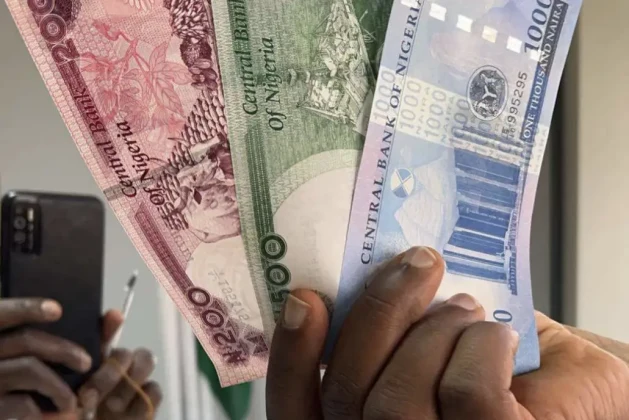 Naira Redesign: Where are the New Currency Notes?